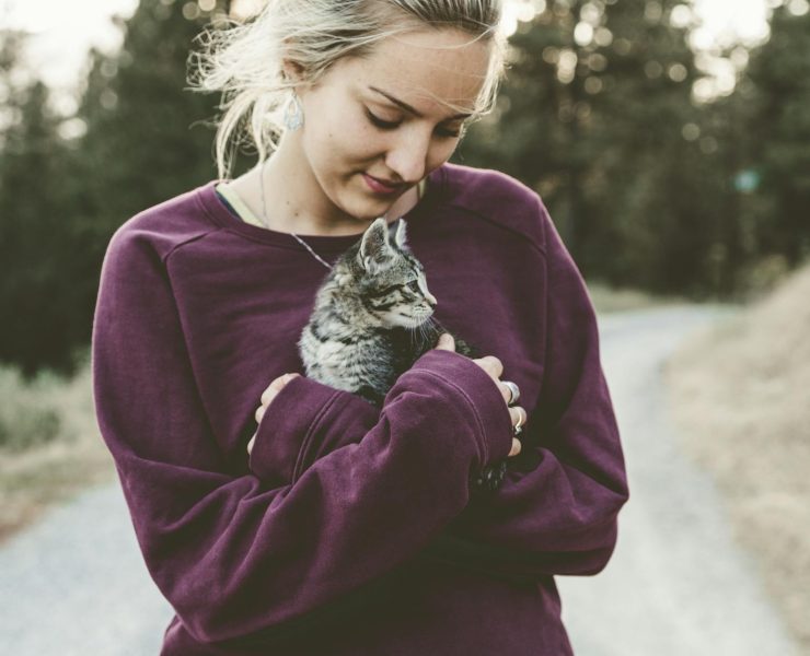 selective focus photography of woman wearing purple sweater holding silver tabby cat